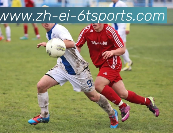 App Interface Preview